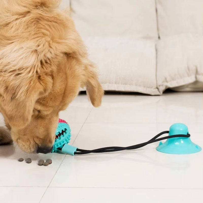 PawGrip – Hundleksak med sugkopp och texturerad yta
