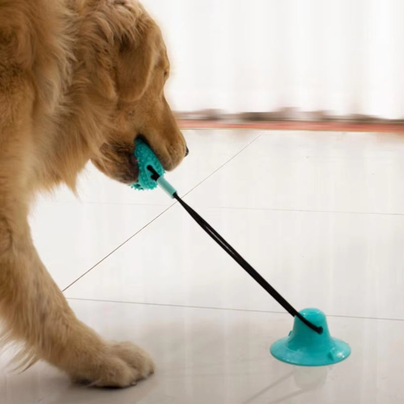 PawGrip – Hundleksak med sugkopp och texturerad yta