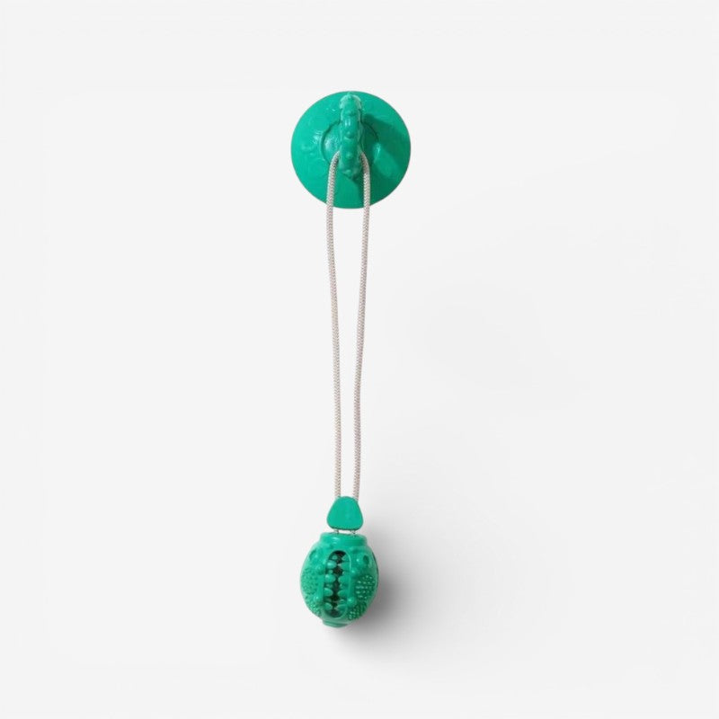 PawGrip – Hundleksak med sugkopp och texturerad yta